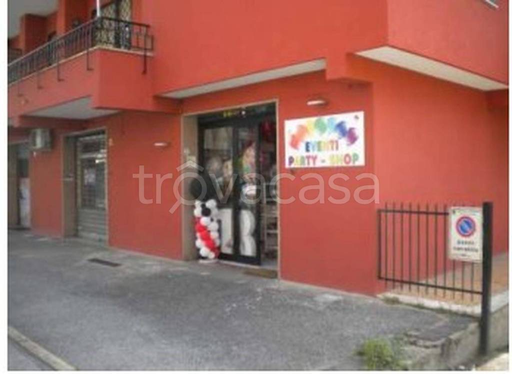 immagine annuncio 7 di 12