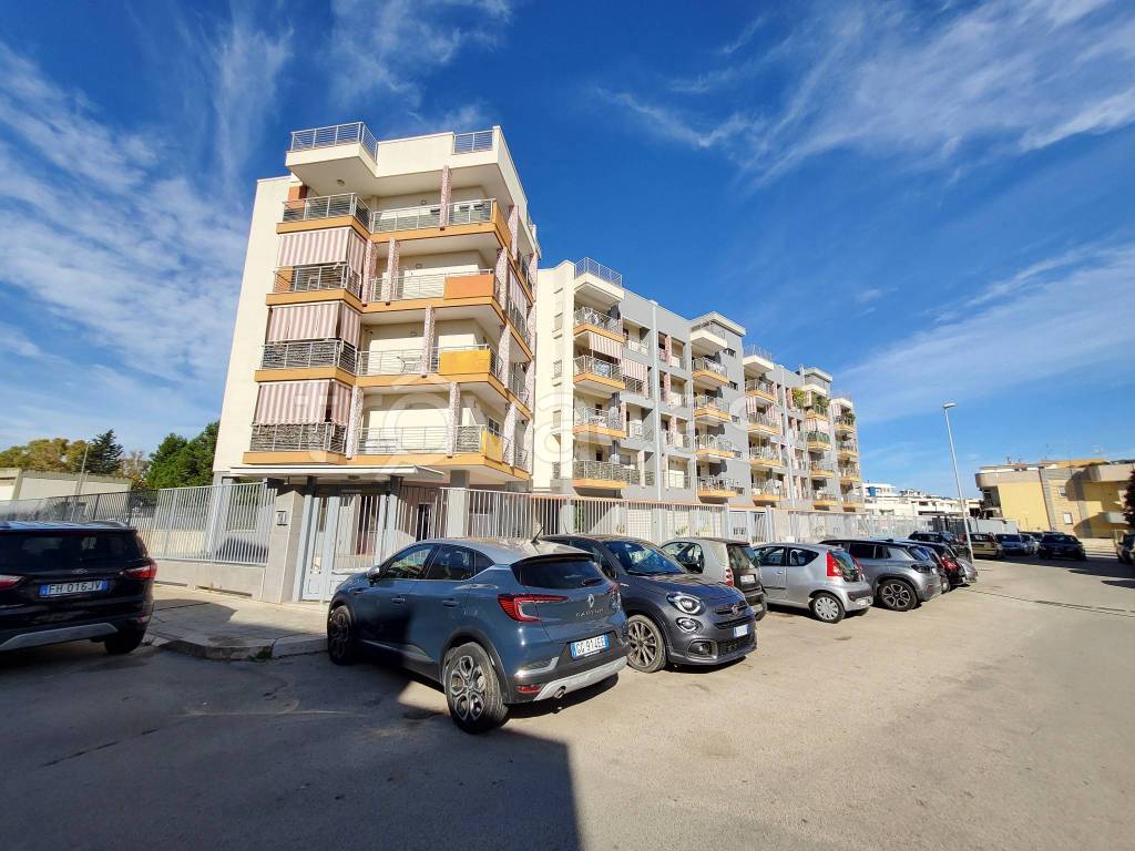 immagine annuncio 10 di 15