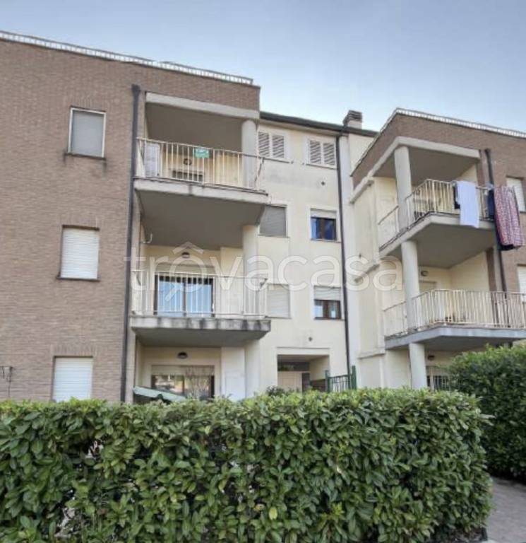 immagine annuncio 1 di 7