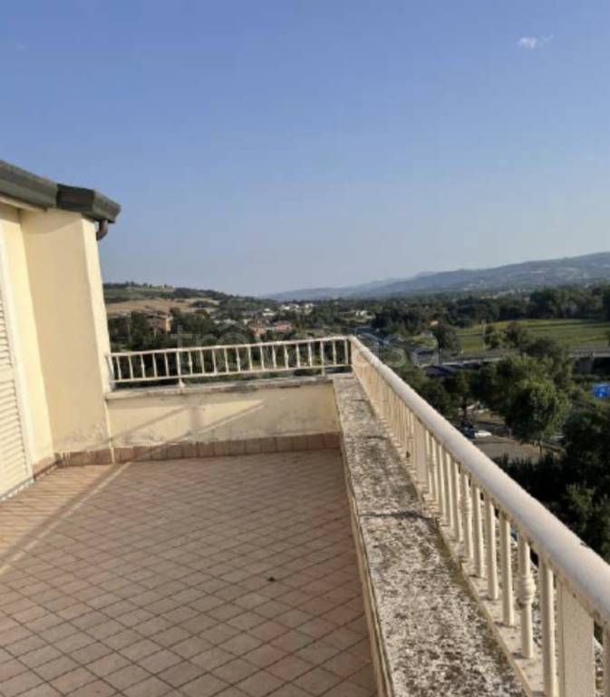 immagine annuncio 6 di 7