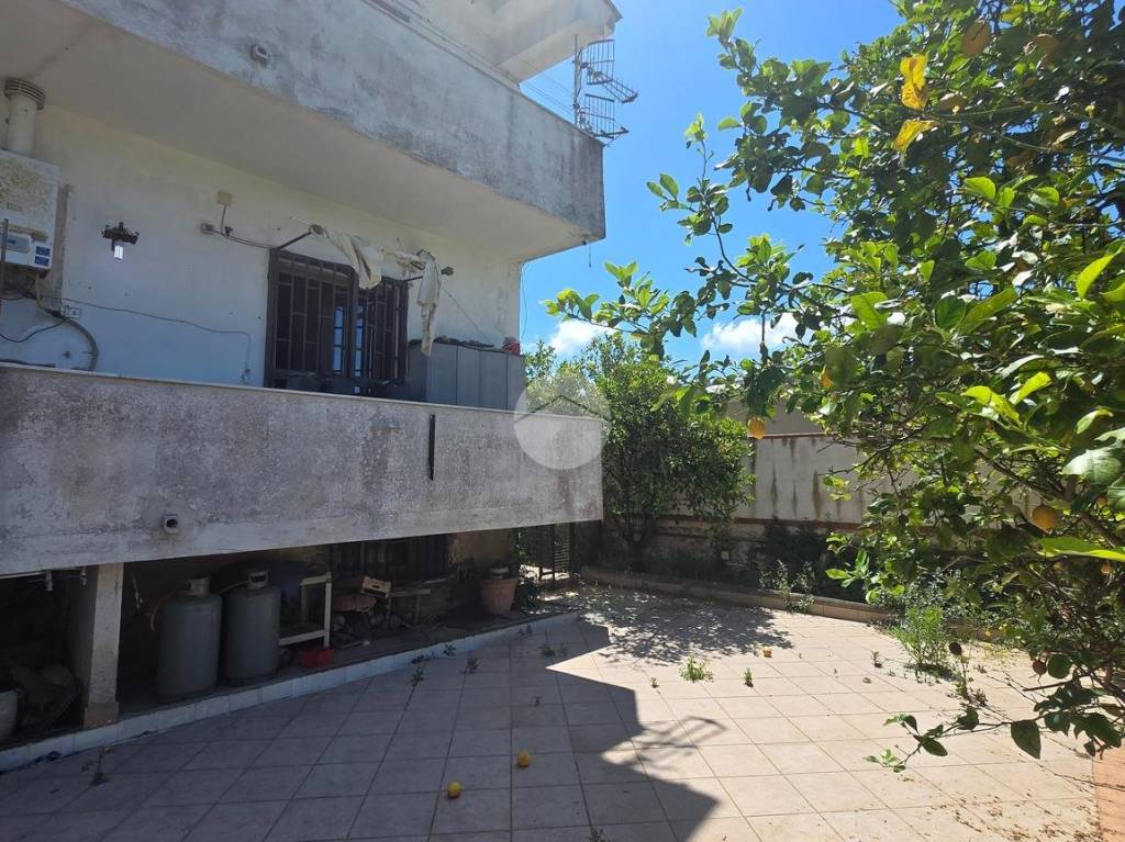 immagine annuncio 2 di 13