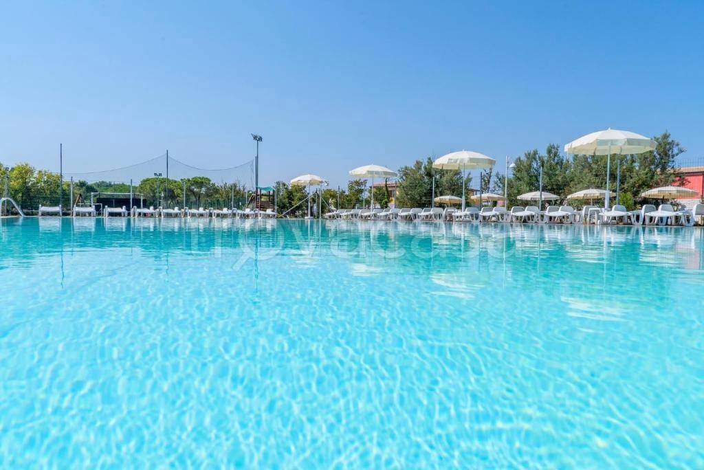 immagine annuncio 11 di 14