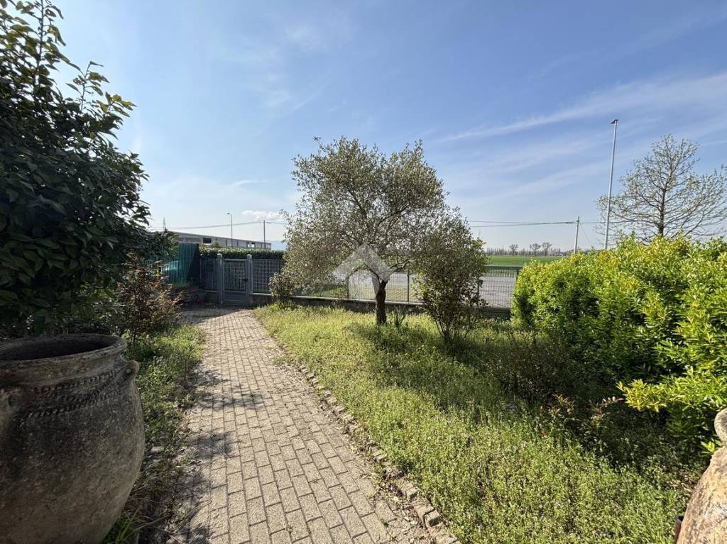 immagine annuncio 4 di 15