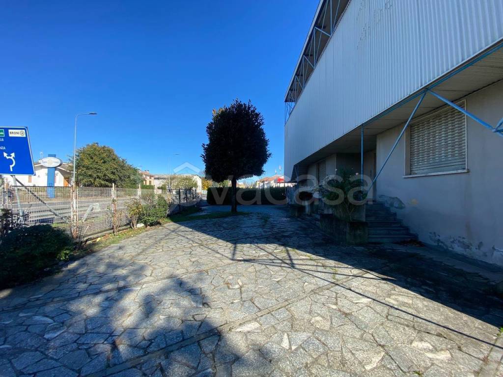 immagine annuncio 2 di 12