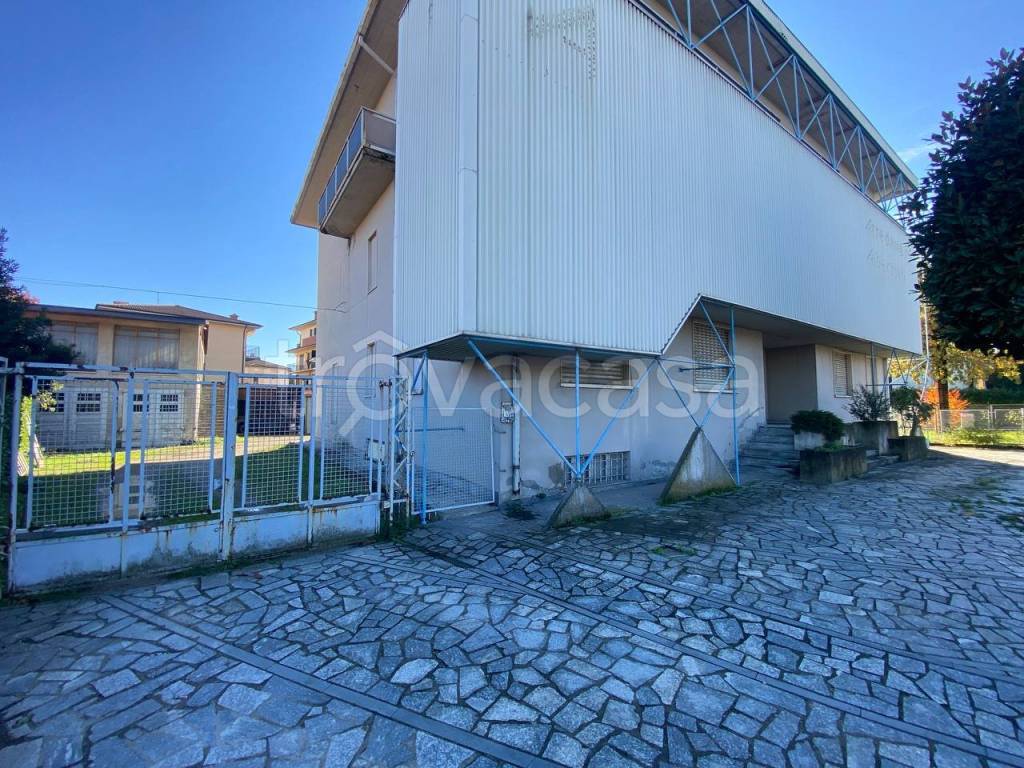 immagine annuncio 3 di 12