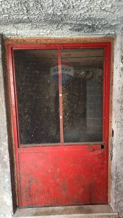 immagine annuncio 12 di 14