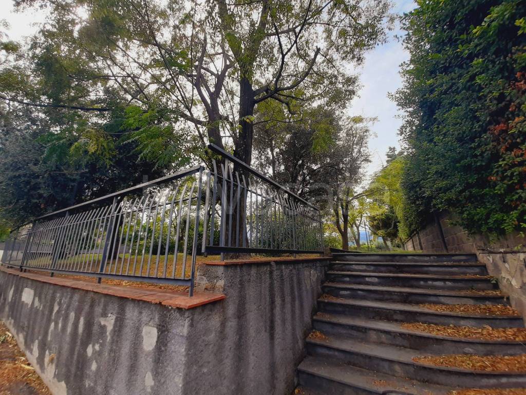 immagine annuncio 10 di 14