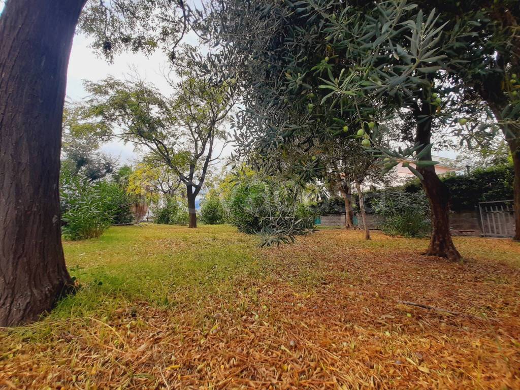 immagine annuncio 11 di 14