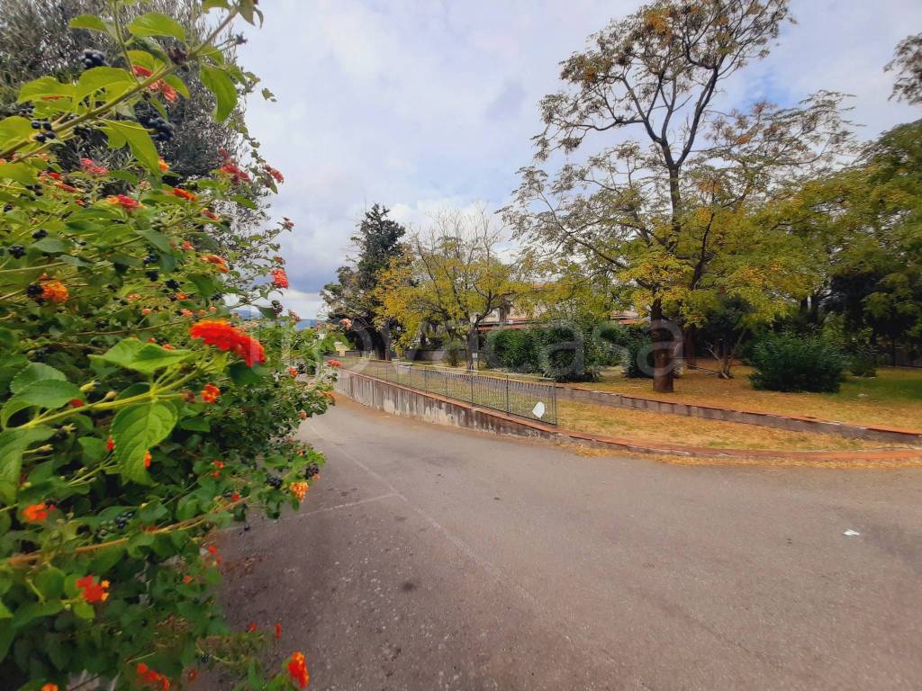 immagine annuncio 12 di 14