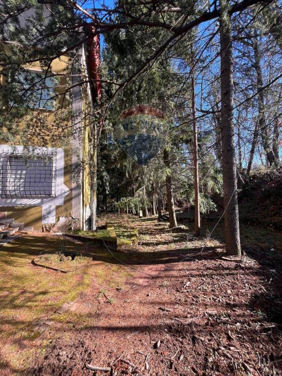 immagine annuncio 4 di 9