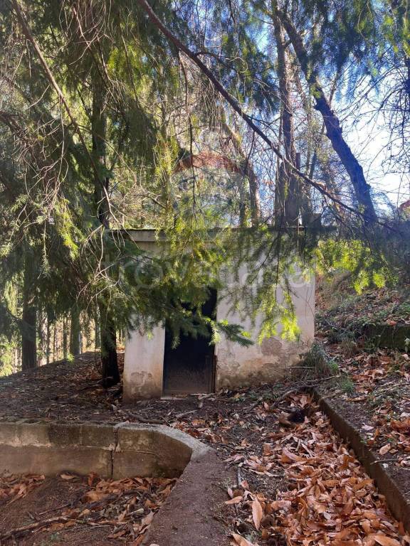 immagine annuncio 7 di 9