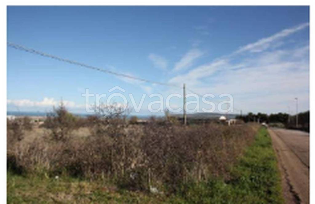 immagine annuncio 2 di 14