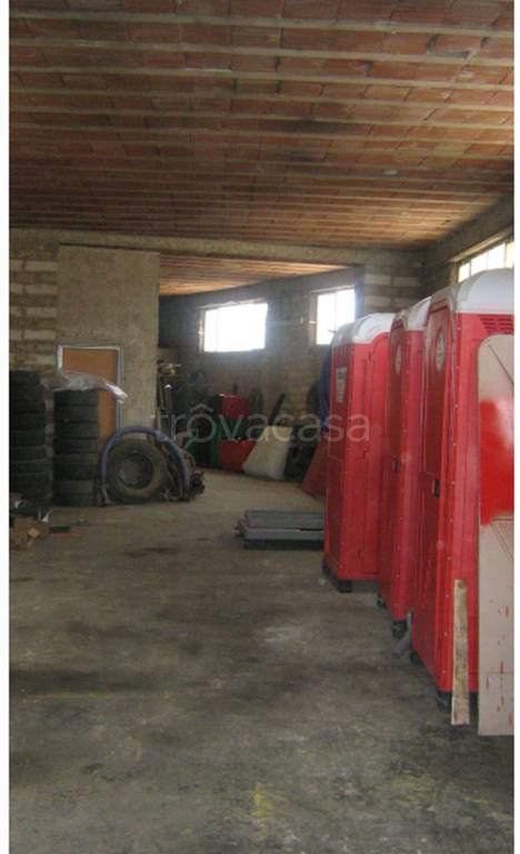 immagine annuncio 2 di 11