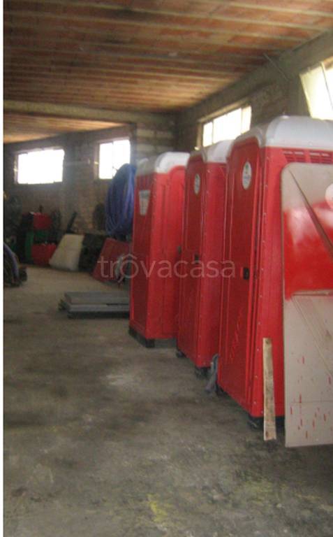 immagine annuncio 3 di 11