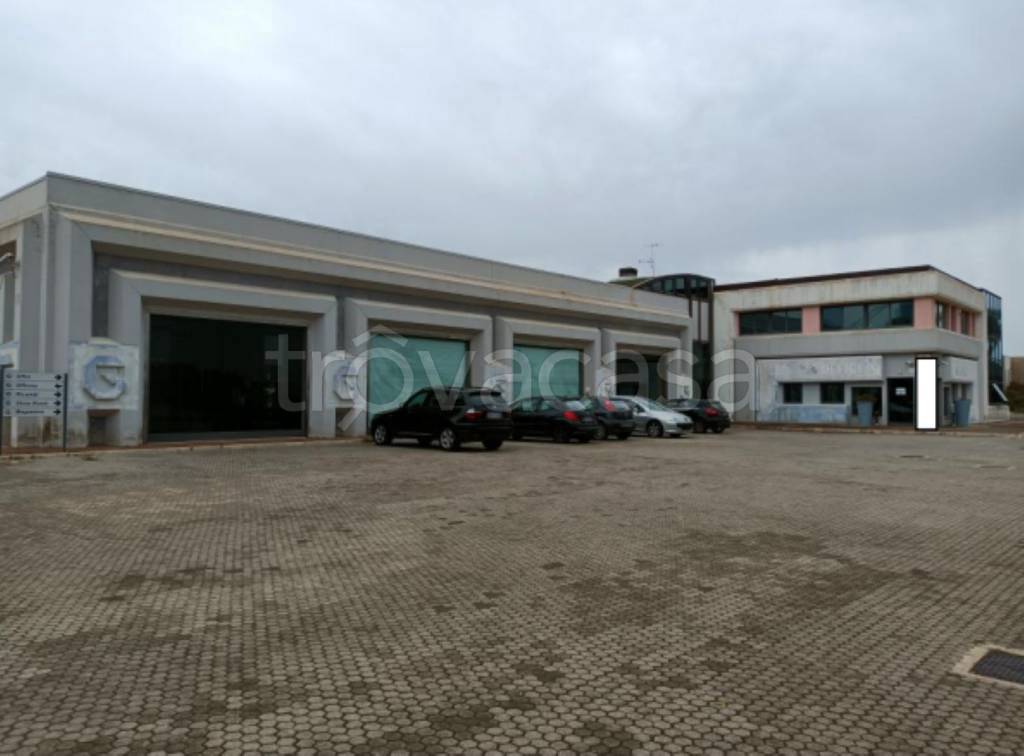 immagine annuncio 4 di 12