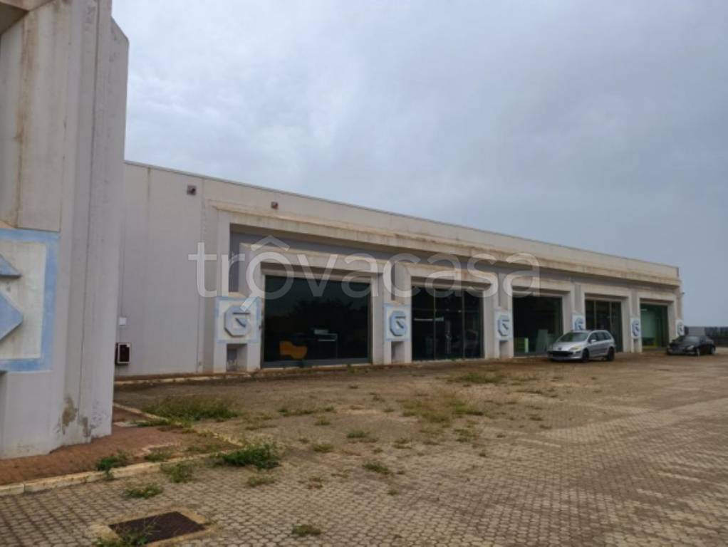 immagine annuncio 5 di 12