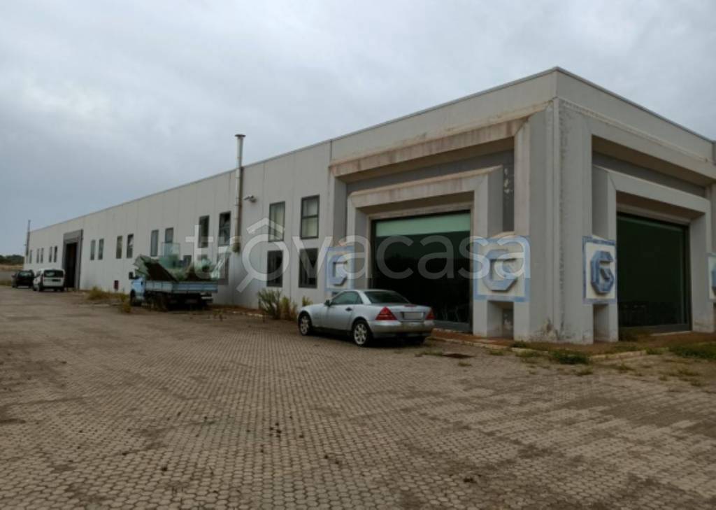 immagine annuncio 6 di 12