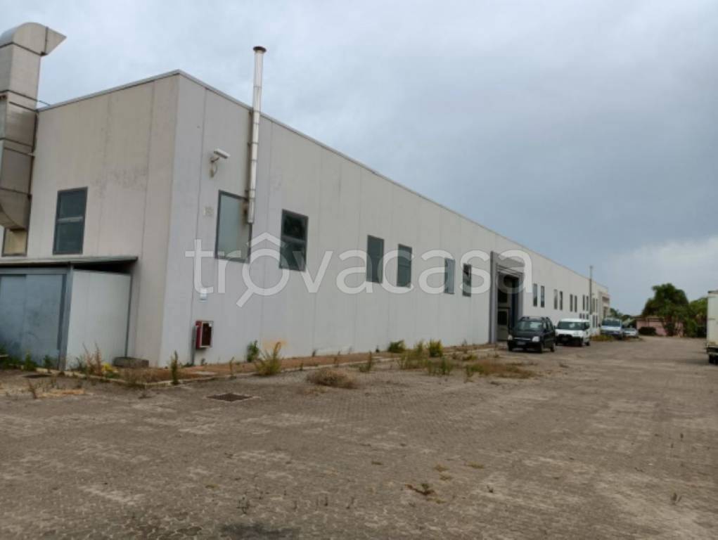 immagine annuncio 7 di 12