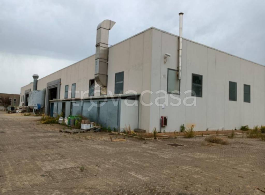 immagine annuncio 8 di 12