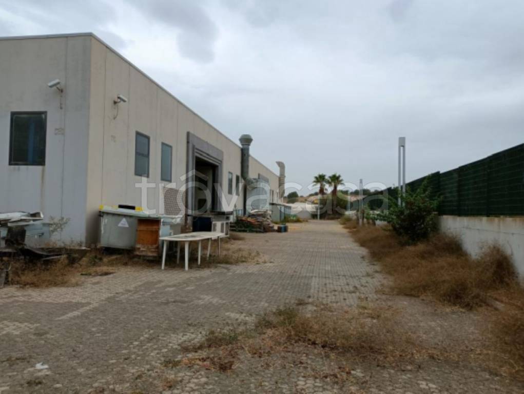 immagine annuncio 9 di 12