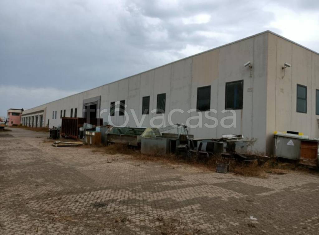 immagine annuncio 10 di 12