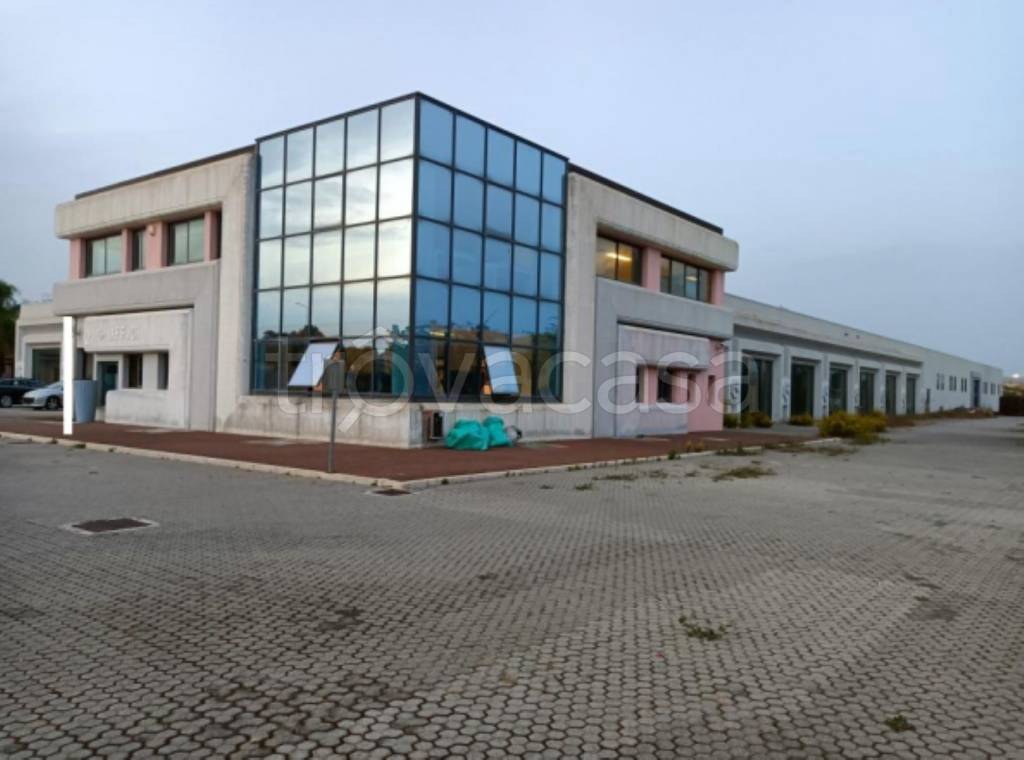 immagine annuncio 11 di 12