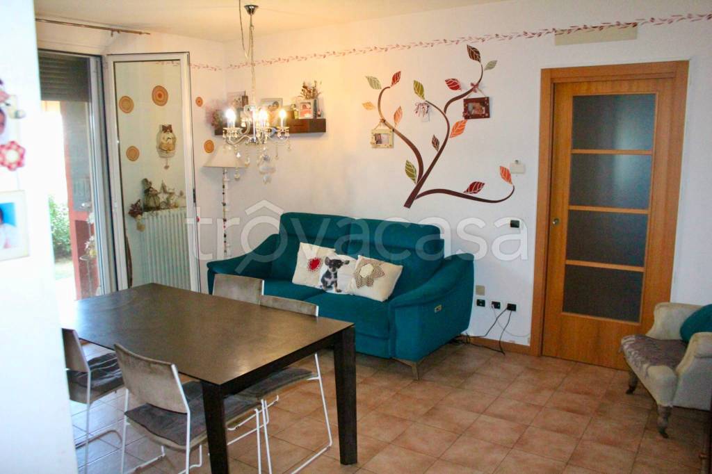 immagine annuncio 13 di 15