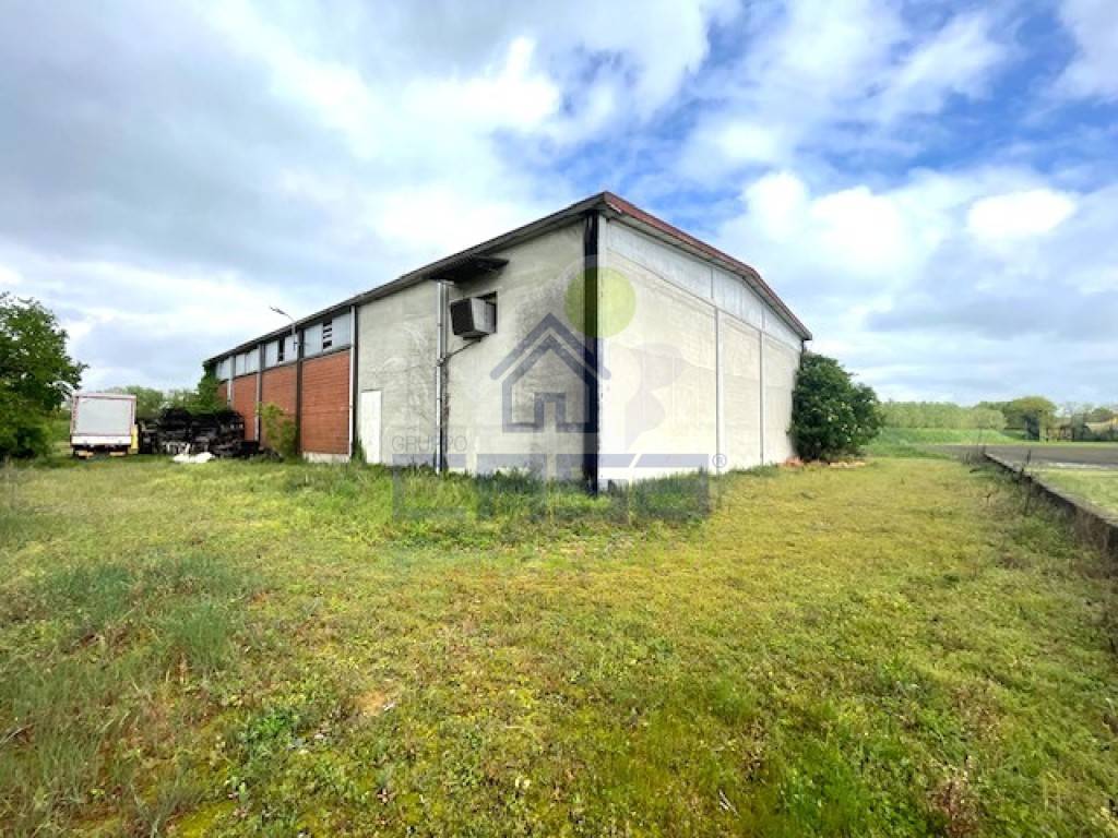 immagine annuncio 2 di 13