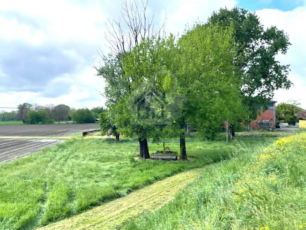 immagine annuncio 3 di 13