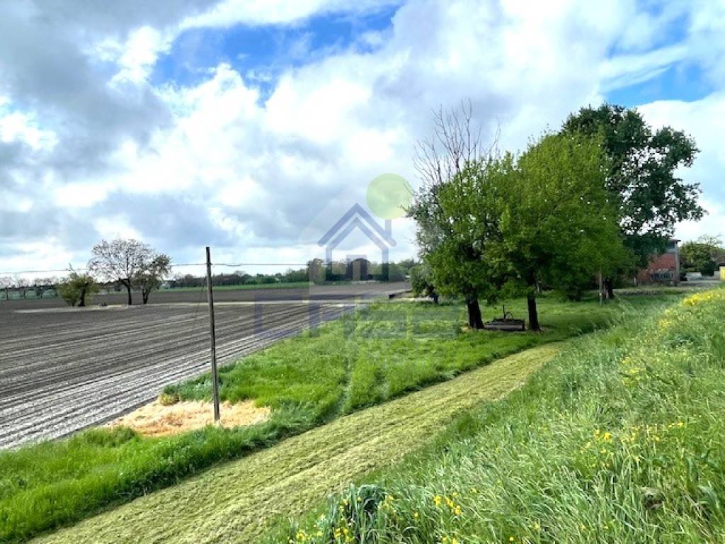 immagine annuncio 4 di 13