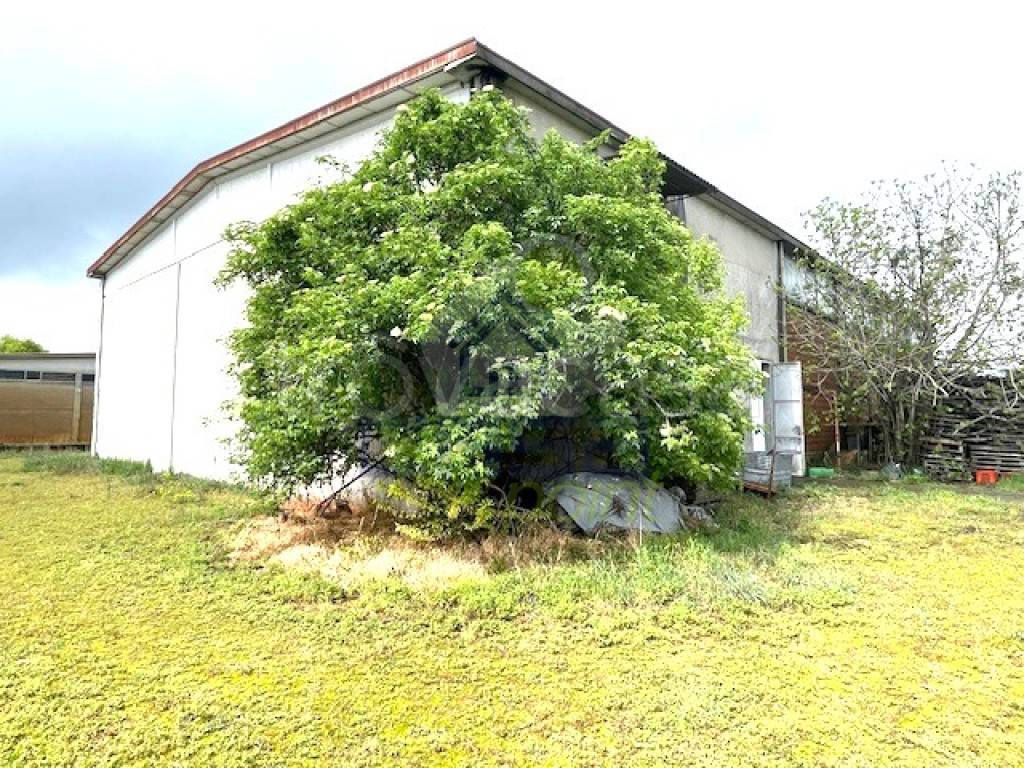 immagine annuncio 6 di 13