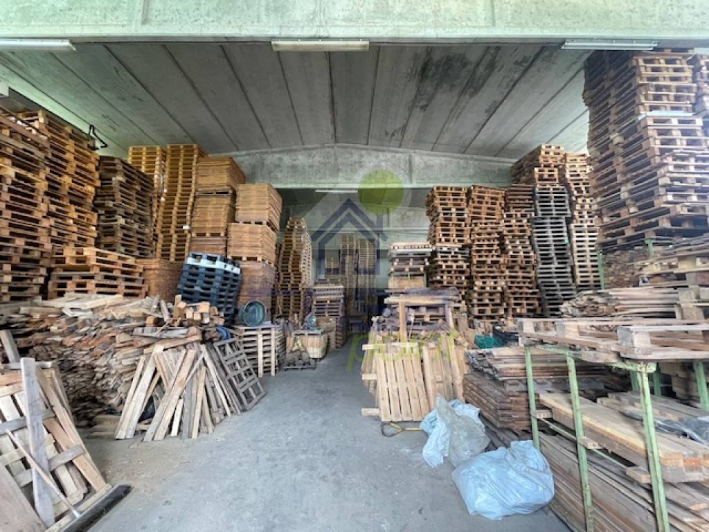 immagine annuncio 7 di 13