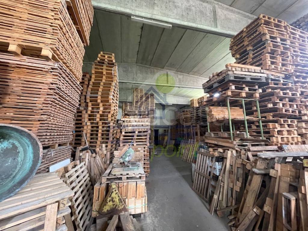 immagine annuncio 8 di 13