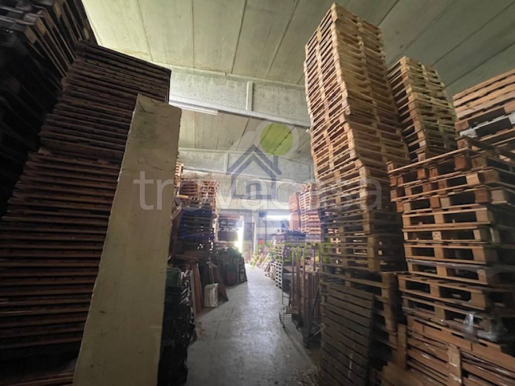 immagine annuncio 10 di 13