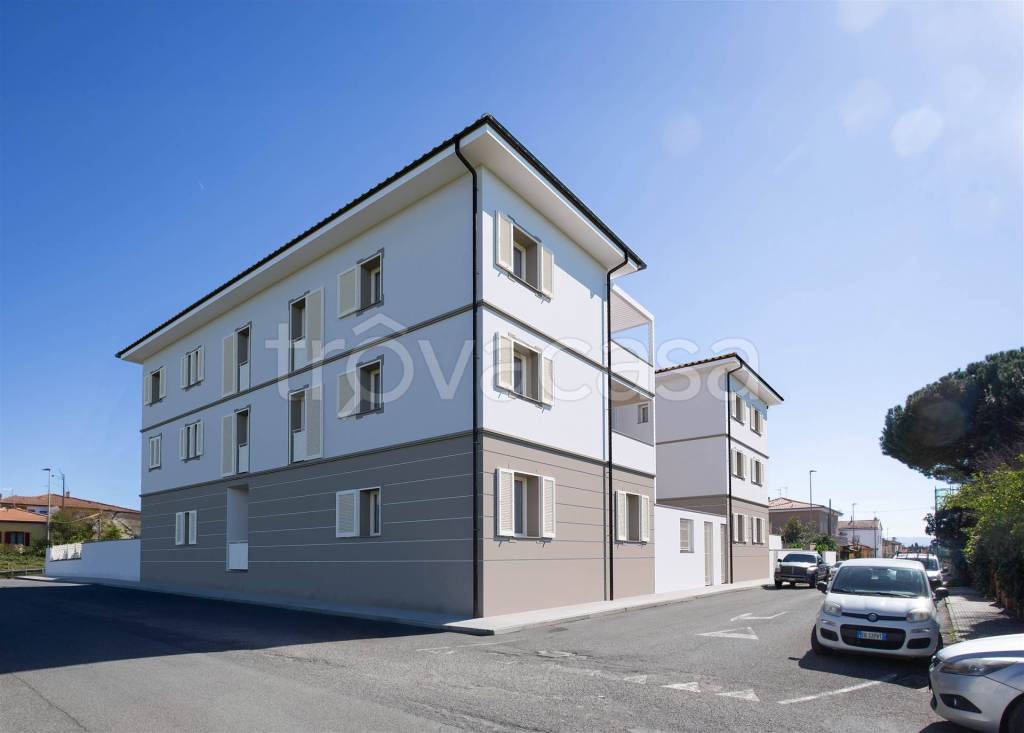 immagine annuncio 7 di 12