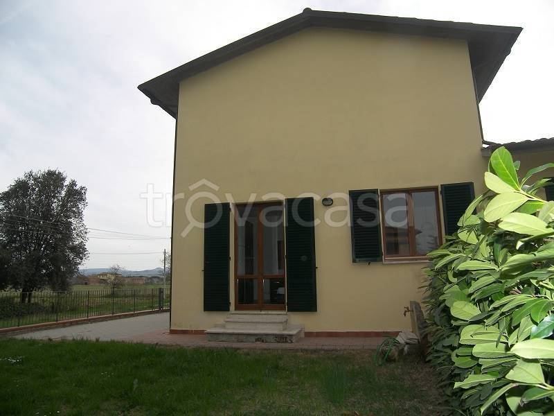 immagine annuncio 10 di 14