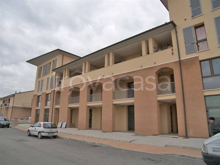 immagine annuncio 3 di 9