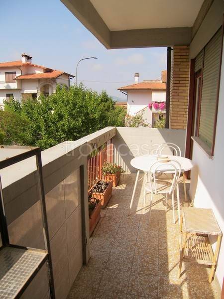 immagine annuncio 2 di 14