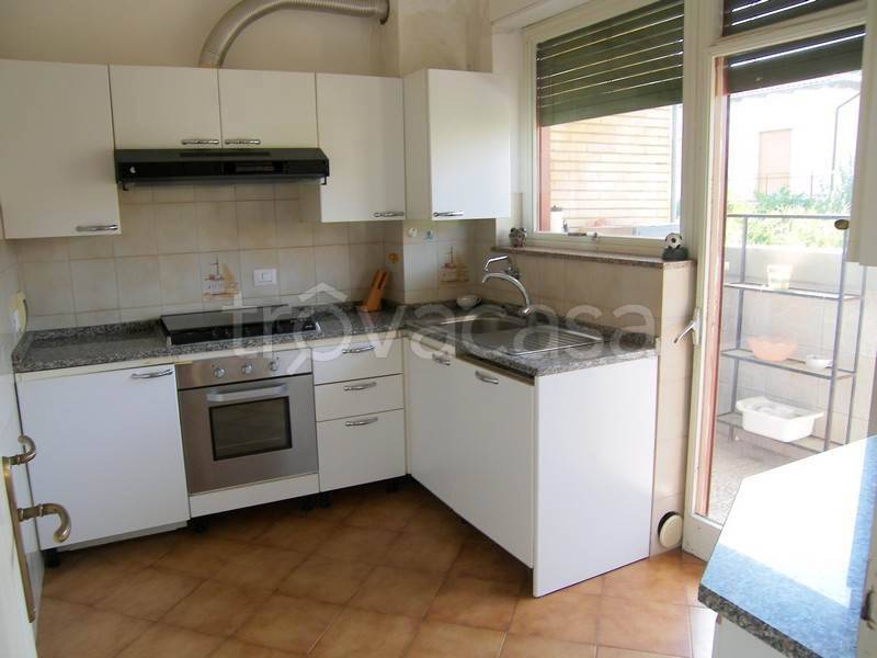 immagine annuncio 3 di 14