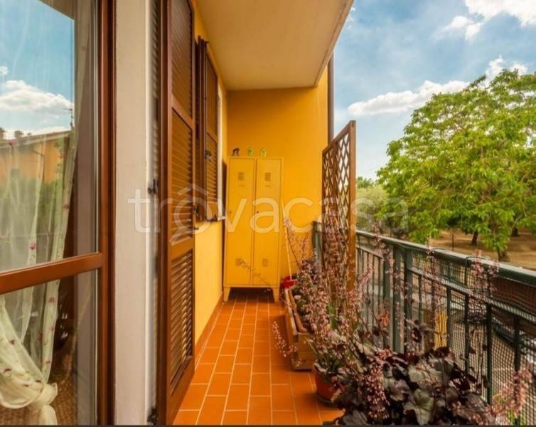 immagine annuncio 4 di 8