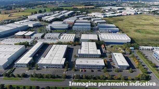 immagine annuncio 9 di 15