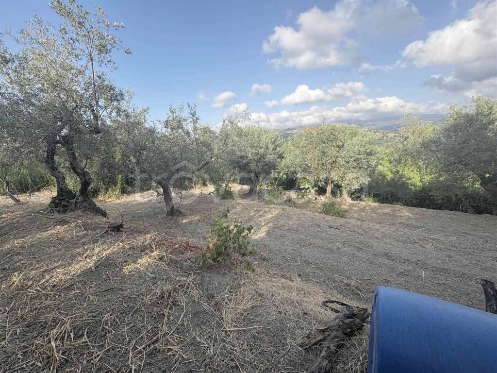 immagine annuncio 7 di 13