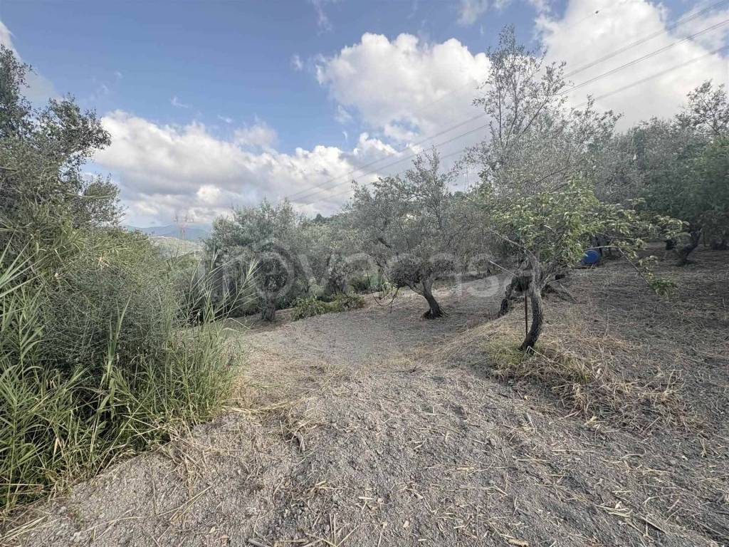 immagine annuncio 8 di 13