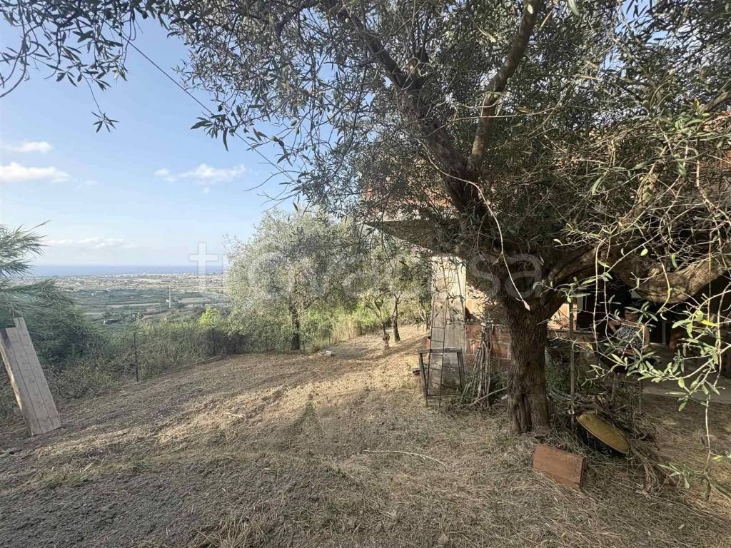 immagine annuncio 10 di 13