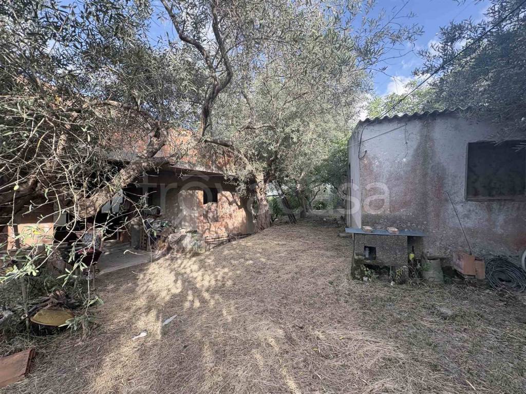 immagine annuncio 11 di 13