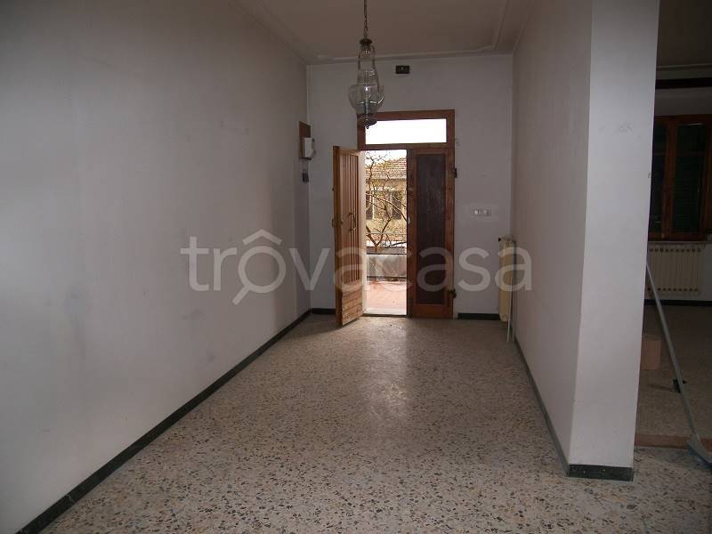 immagine annuncio 6 di 14