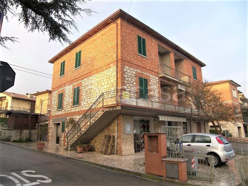 immagine annuncio 12 di 14