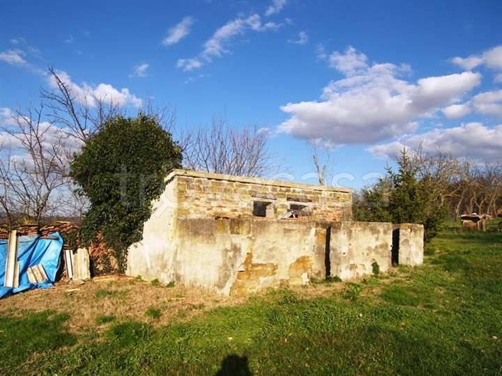 immagine annuncio 12 di 13