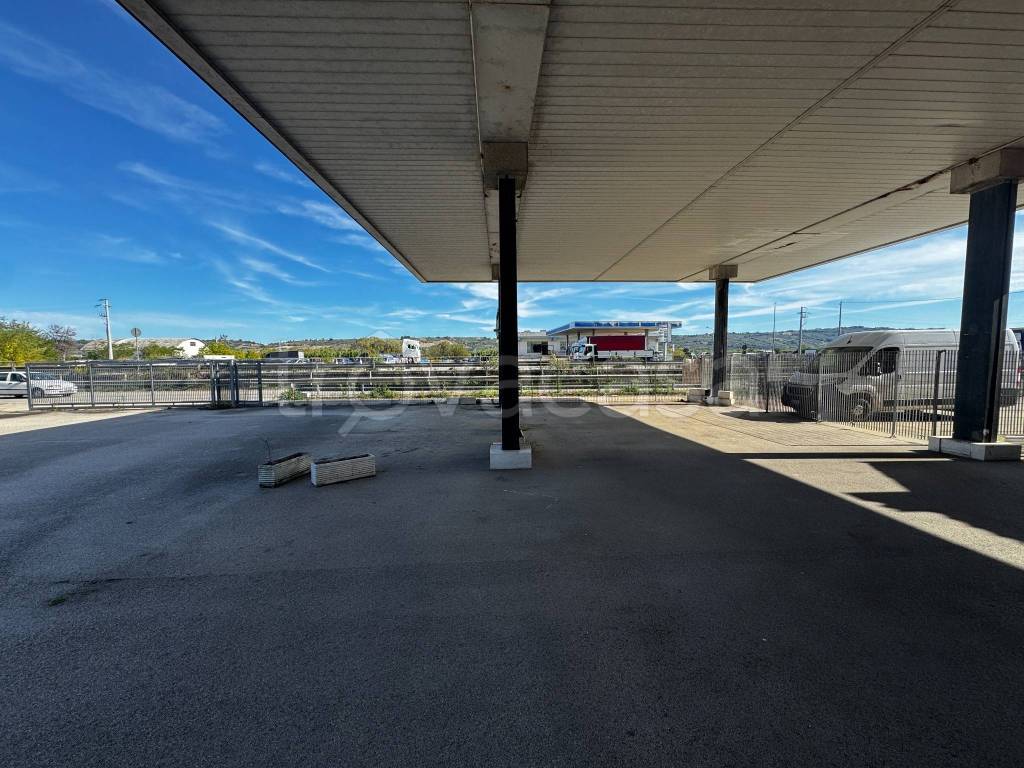 immagine annuncio 5 di 11