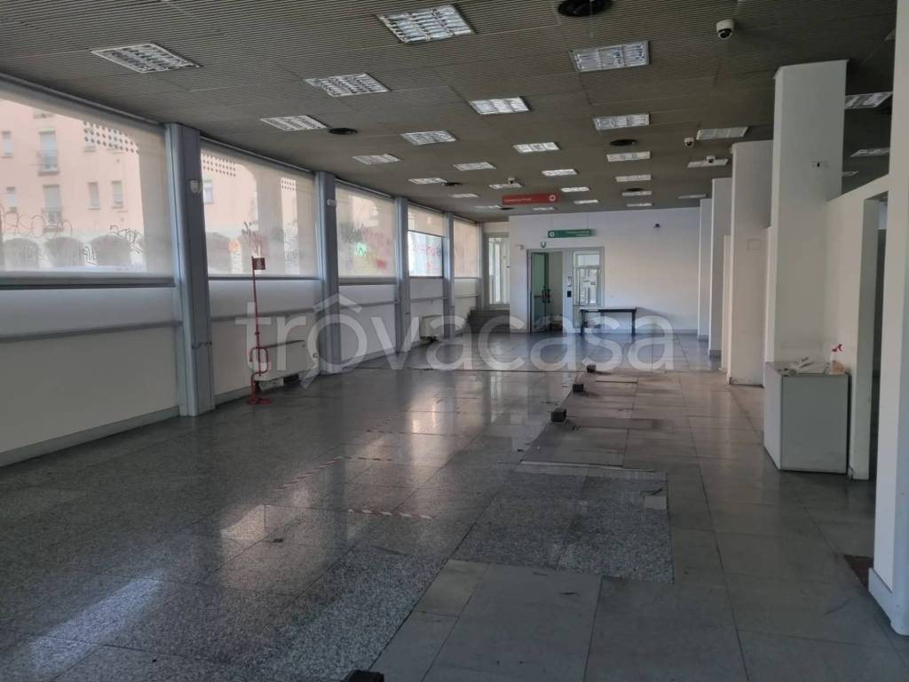 immagine annuncio 5 di 14